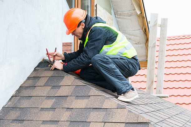 Best Roof Gutter Cleaning  in Seven Corners, VA